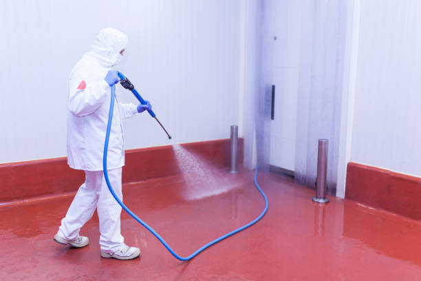 Best Post-Construction Pressure Washing  in Williamstown, KY