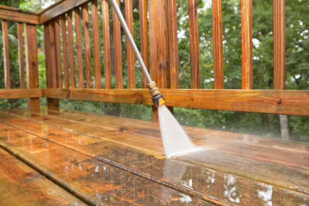Best Patio and Deck Pressure Washing  in Williamstown, KY